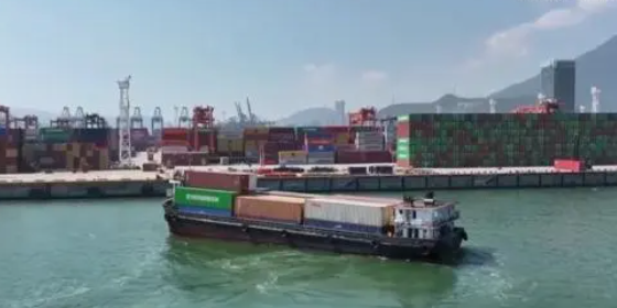 威客电竞·(中国)VK GAMING